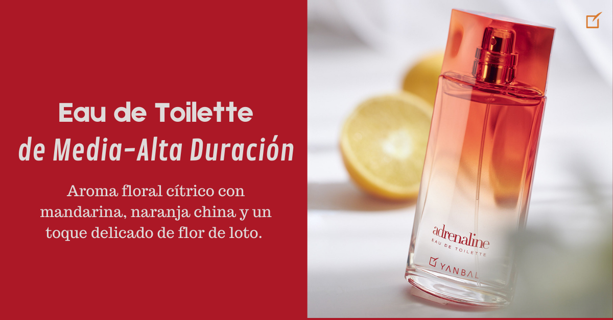 IMAGEN HORIZONTAL 10